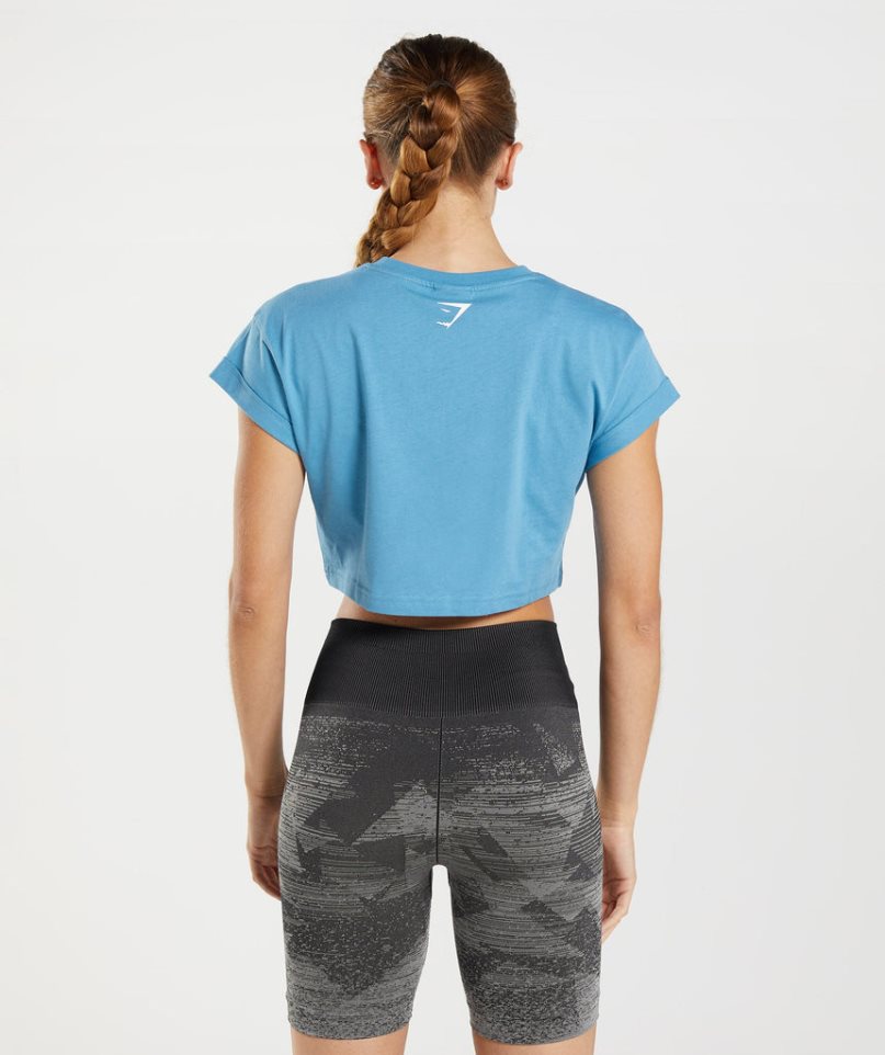 Women's Gymshark Fraction Cropped Tops Blue | CA D831A7